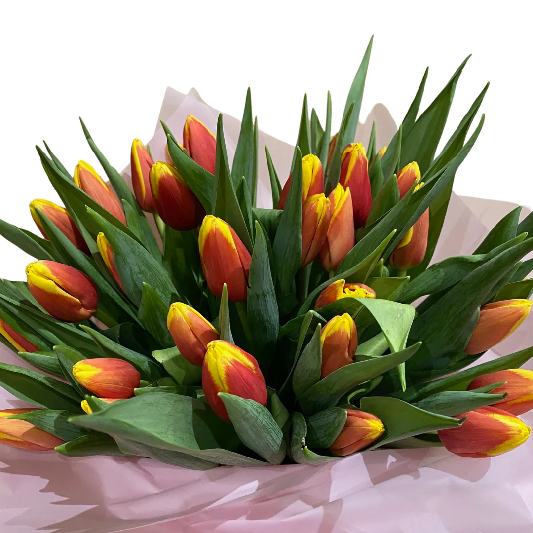 Accompanying Bouquet - Tulips