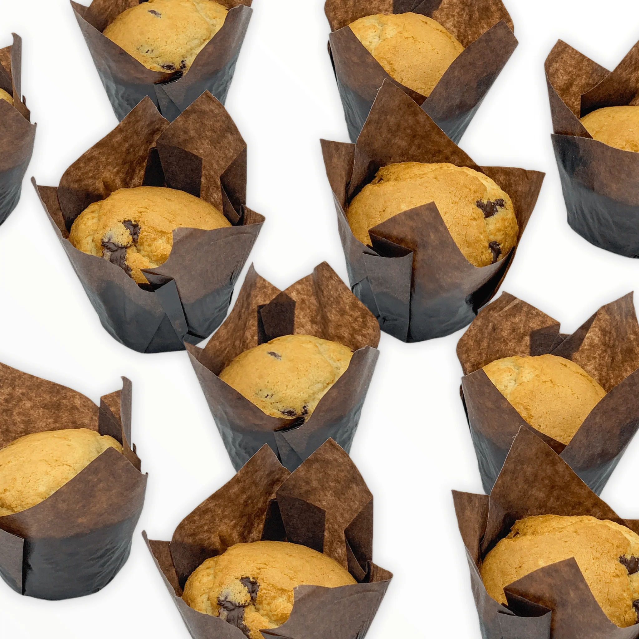 Chocolate Chip Muffins
